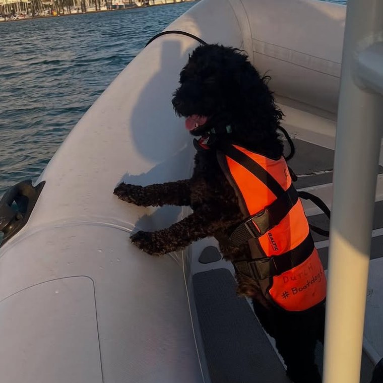 A dog in an orange life vest aboard the boat
